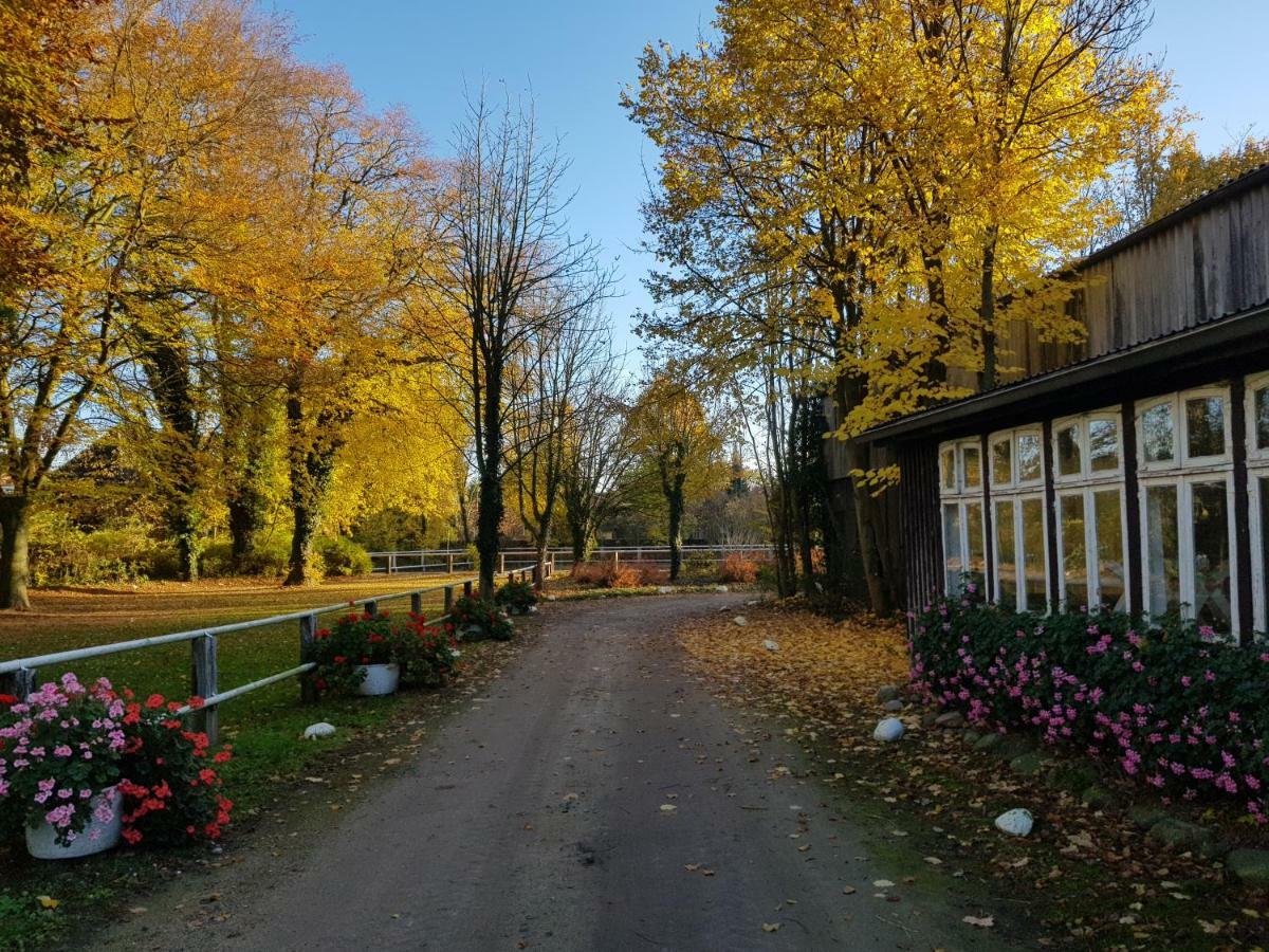 Grosse, Helle Ferienwohnung Mit 2 Balkonen Auf Dem Bauernhof In Der Lueneburger Heide Oetzen Екстериор снимка